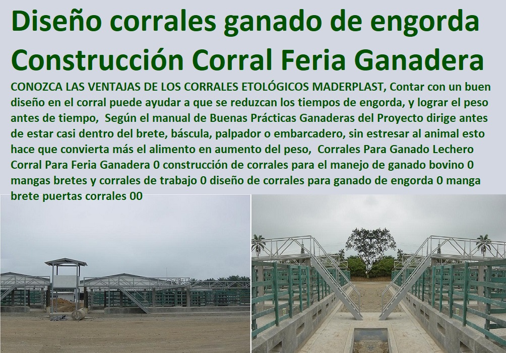 Corrales Para Ganado Lechero Corral Para Feria Ganadera 0 Pesebreras De Caballos, Plaza Toros, Brete Ganadero, Apretaderos Embarcaderos, Postes Tablas, Corral Caballerizas, Polines Varetas, Mangas De Coleo, Horcones Madera Plástica, Corrales, Establos De Ganado, Mangas De Coleo, construcción de corrales para el manejo de ganado bovino 0 mangas bretes y corrales de trabajo 0 diseño de corrales para ganado de engorda 0 manga brete puertas corrales 00 Corrales Para Ganado Lechero Corral Para Feria Ganadera 0 construcción de corrales para el manejo de ganado bovino 0 mangas bretes y corrales de trabajo 0 diseño de corrales para ganado de engorda 0 manga brete puertas corrales 00